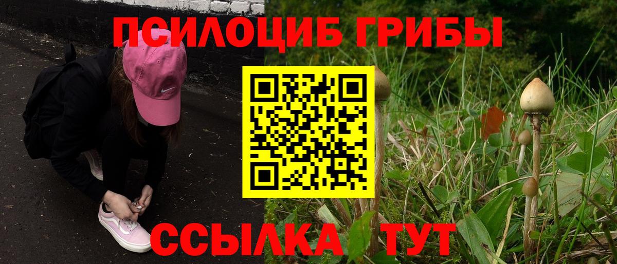 Псилоцибиновые грибы прущие грибы  Вход с VPN  Галлюциногенные грибы мухоморы  купить наркоту  Новороссийск 