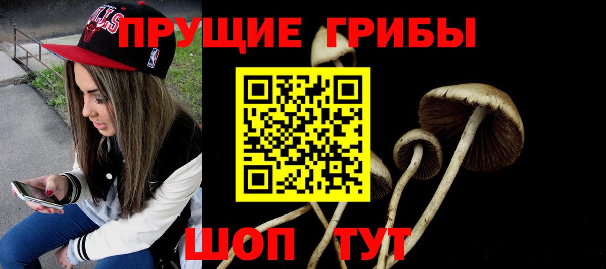 Псилоцибиновые грибы ЛСД Новороссийск